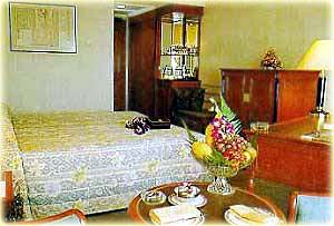 ANA Hotel Room